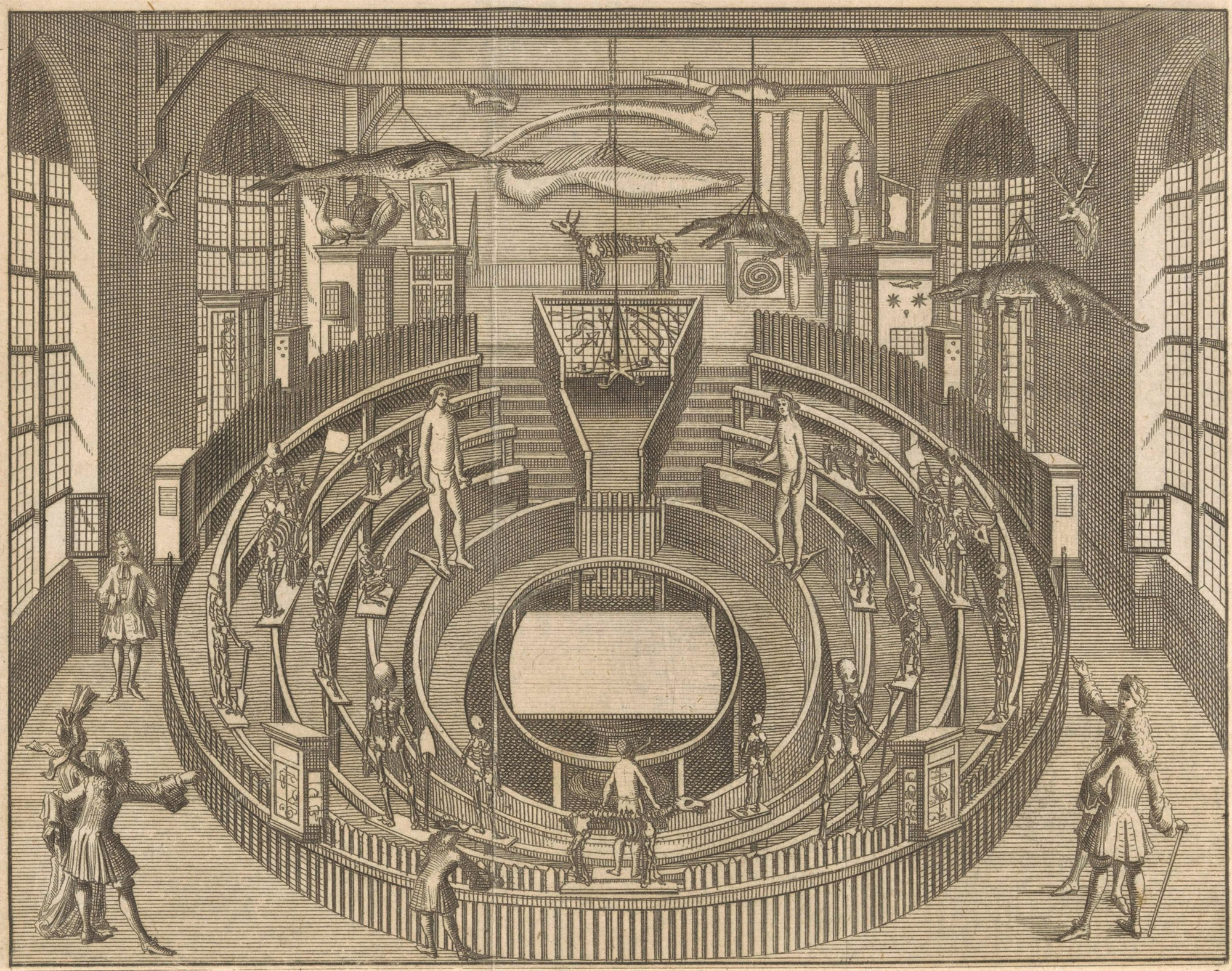 Anatomisch theater Leiden